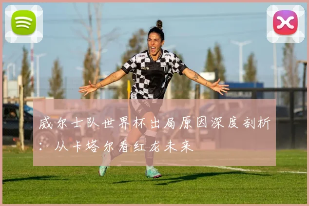 威尔士队世界杯出局原因深度剖析：从卡塔尔看红龙未来