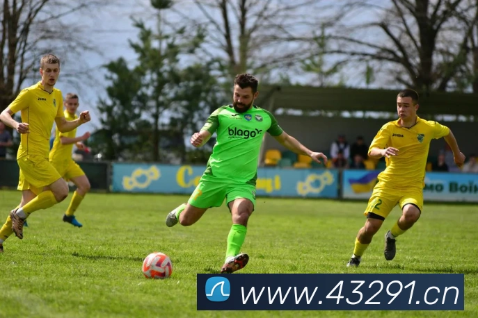 易倍emc中文官网APP 体育赛事宣传图